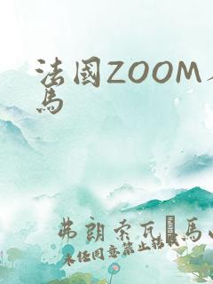 法国ZOOM人马