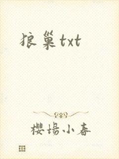 狼巢txt