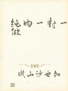 纯肉一对一到处做