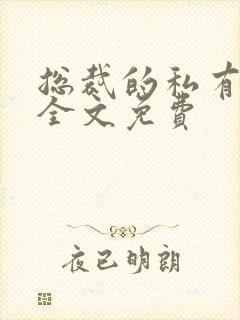 总裁的私有宝贝全文免费