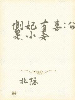 侧妃有喜:公主是小妾