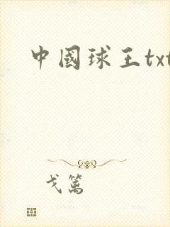 中国球王txt