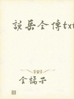 说岳全传txt