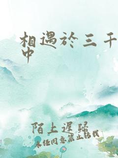 相遇于三千肉文中