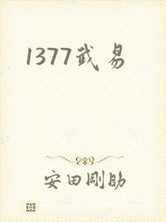 1377武易