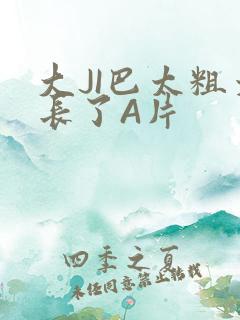 大JI巴太粗太长了A片
