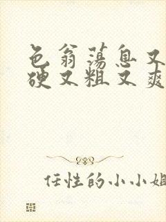 色翁荡息又大又硬又粗又爽电影