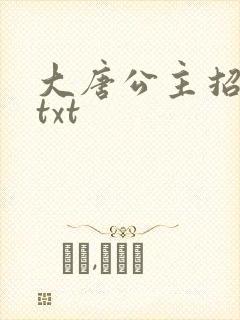 大唐公主招亲记txt