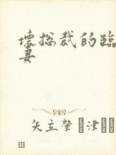 坏总裁的临时娇妻