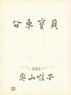 公车宝贝