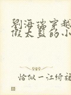 刘海瑞穿越后宫假太监的小说