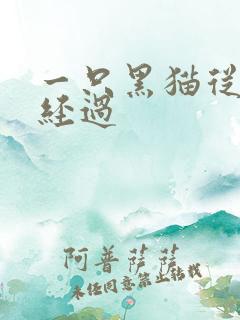 一只黑猫从眼前经过