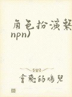 角色扮演系统(npn)