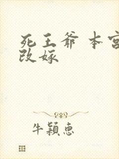 死王爷 本宫已改嫁