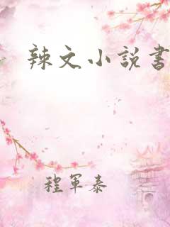 辣文小说书包网