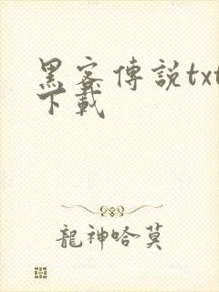 黑客传说txt下载