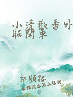 小清欢番外完整版开车