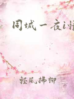 同城一夜i情