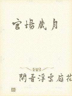 官场岁月