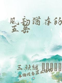 风韵犹存的四十五岳