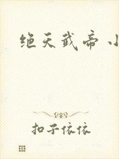 绝天武帝 小说