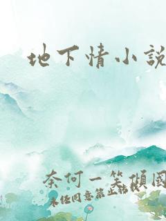 地下情小说