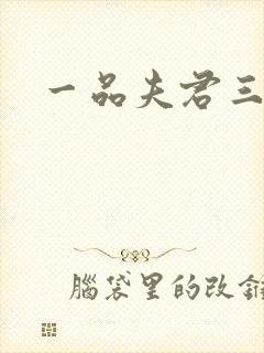 一品夫君三流妻