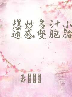 爆炒多汁小美人通感双胞胎燎锋