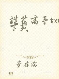 护花高手txt下载