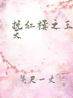 挽红楼之玉舞九天