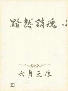 黯然销魂 小说
