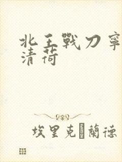 北王战刀宁北苏清荷