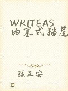 WRITEAS内塞式猫尾