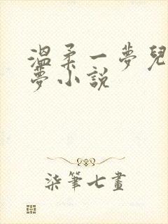 温柔一梦儿媳林梦小说