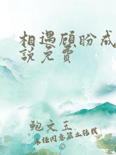 相遇顾盼成欢小说免费