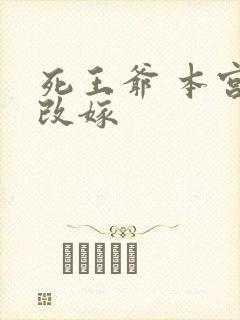 死王爷 本宫已改嫁
