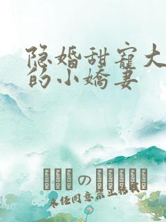 隐婚甜宠大财阀的小娇妻