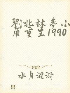 刘北林梦小说主角重生1990