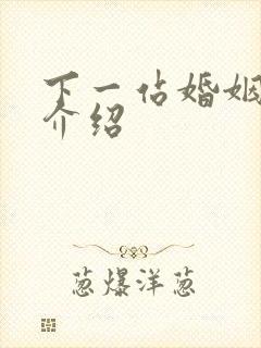 下一站婚姻剧情介绍