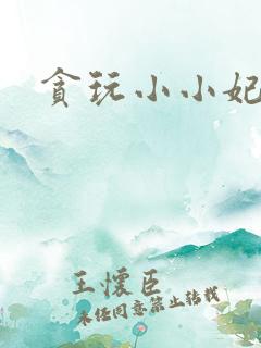 贪玩小小妃