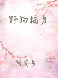 野狗摘月
