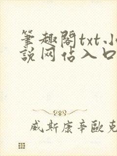 笔趣阁txt小说网站入口