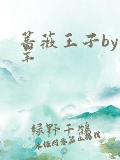 蔷薇王子by迷羊