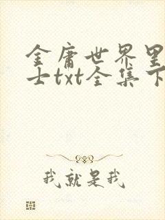 金庸世界里的道士txt全集下载