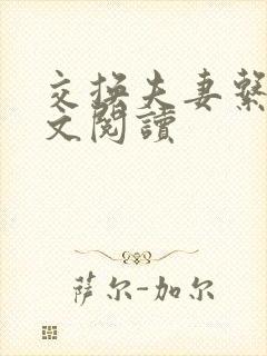 交换夫妻系列全文阅读