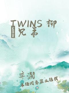 TWINS 柳澤兄弟