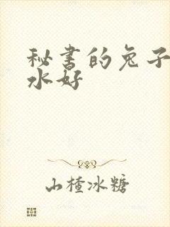 秘书的兔子好软水好