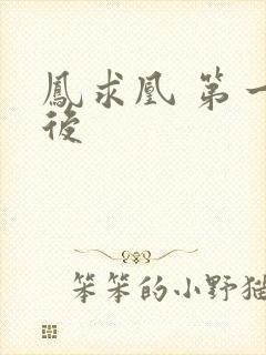 凤求凰 第一皇后