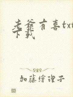 老爷有喜txt下载