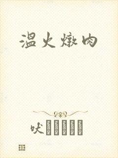 温火炖肉